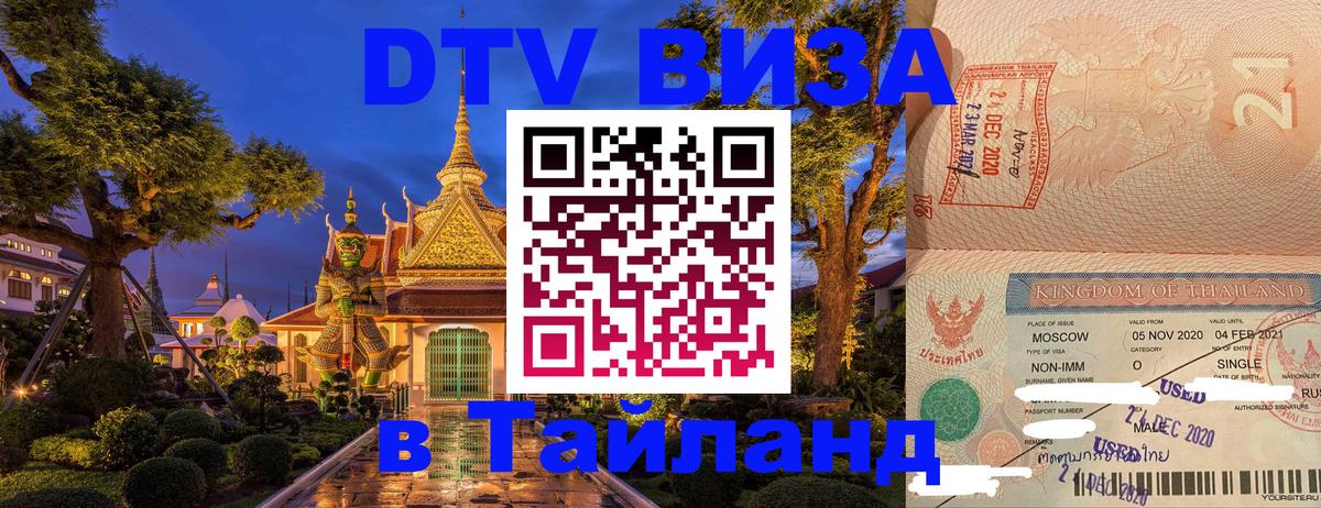 Оформление DTV визы под ключ: стоимость и тарифы, только загранпаспорт - 18.11.2025 